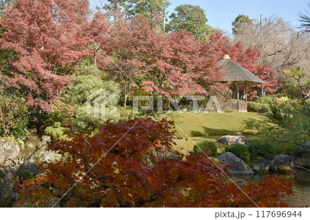 秋の余香苑 退蔵院庭園 秋の余香苑 退蔵院庭園 117696944