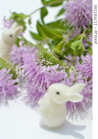 ピンク色のモナルダの花と真っ白なフェルトのウサギ 　　　　 117697280