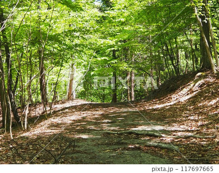 本社カ丸の山道 本社カ丸の山道 117697665