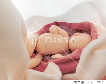 新しい命に出会う 117697914