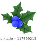 christmas holly blue berry 117699213