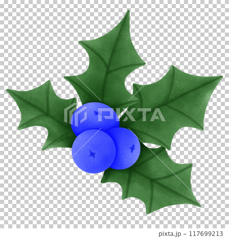 christmas holly blue berry christmas holly blue berry 117699213