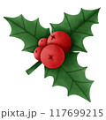 christmas holly with berries 117699215