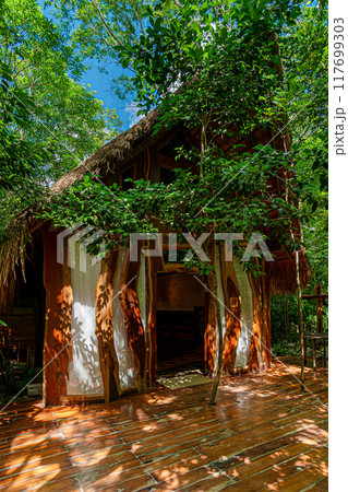 Sacred Sanctuary of Mary in the Heart of the Cancun Jungle 117699303