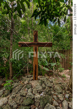Sacred Sanctuary of Mary in the Heart of the Cancun Jungle Sacred Sanctuary of Mary in the Heart of the Cancun Jungle 117699304