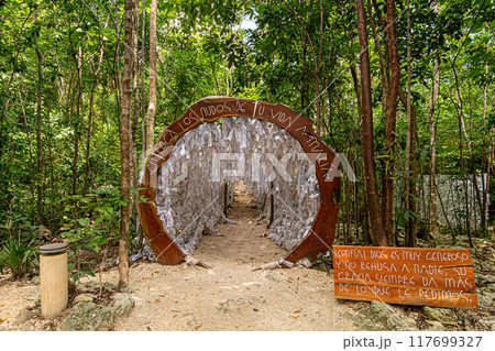 Sacred Sanctuary of Mary in the Heart of the Cancun Jungle 117699327