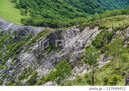 中倉山登山 中倉山登山 117699452