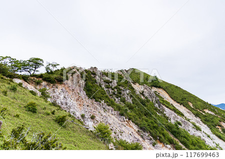 中倉山登山 117699463