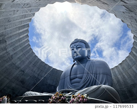 大仏 大仏 117699533