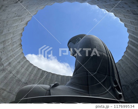 大仏 大仏 117699534