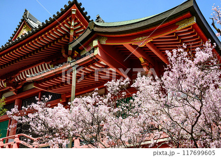 桜に彩られた目黒不動尊 桜に彩られた目黒不動尊 117699605