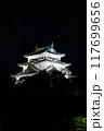 ライトアップされた天守閣 117699656
