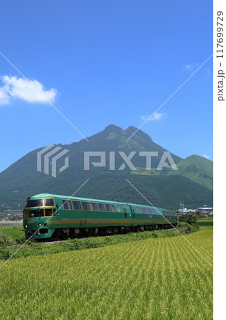 由布岳をバックに久大本線を走る特急ゆふいんの森 117699729