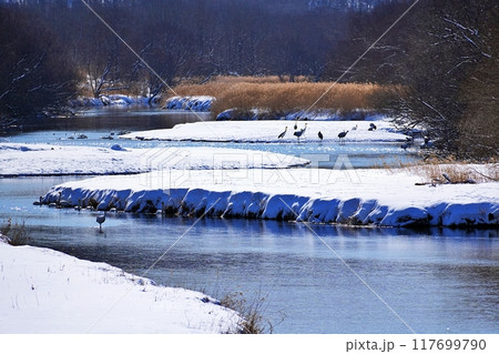 北海道鶴居村 雪裡川の風景 北海道鶴居村 雪裡川の風景 117699790