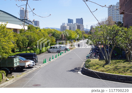 広島市中央公園通りの景色 広島市中央公園通りの景色 117700220
