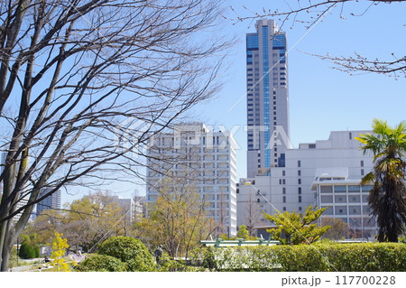 広島中央公園から眺めた高層ビル 広島中央公園から眺めた高層ビル 117700228