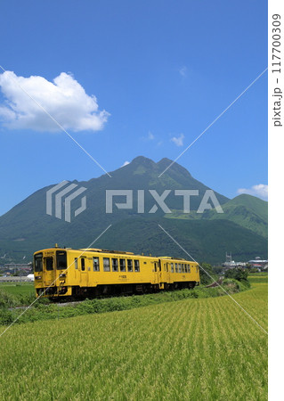 由布岳をバックに久大本線を走るキハ125普通列車 117700309