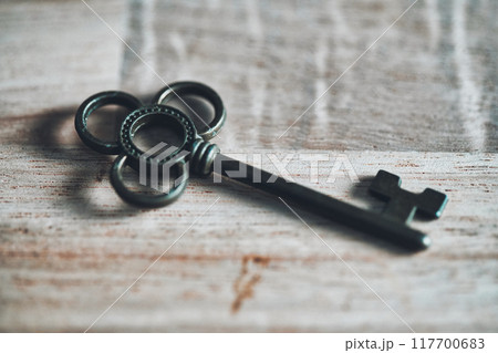レトロな鍵 117700683