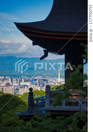 京都 清水寺 夏 早朝 京都 清水寺 夏 早朝 117700755