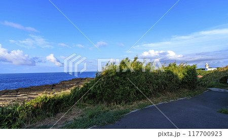 三浦半島の三浦市城ヶ島の夏 117700923