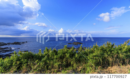 三浦半島の三浦市城ヶ島の夏 三浦半島の三浦市城ヶ島の夏 117700927