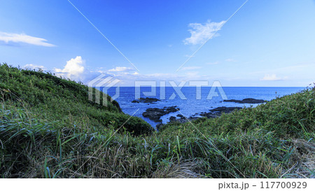 三浦半島の三浦市城ヶ島の夏 117700929