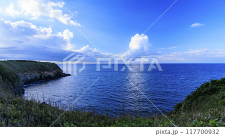 三浦半島の三浦市城ヶ島の夏 117700932