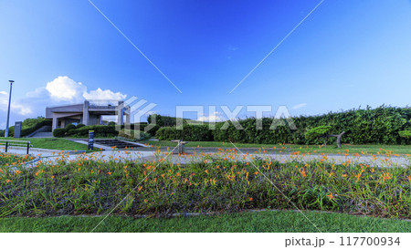 三浦半島の三浦市城ヶ島の夏 117700934