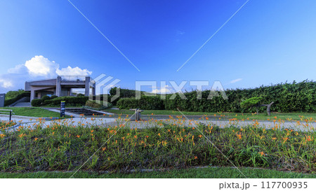 三浦半島の三浦市城ヶ島の夏 117700935