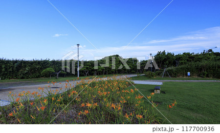 三浦半島の三浦市城ヶ島の夏 117700936