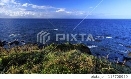 三浦半島の三浦市城ヶ島の夏 三浦半島の三浦市城ヶ島の夏 117700939