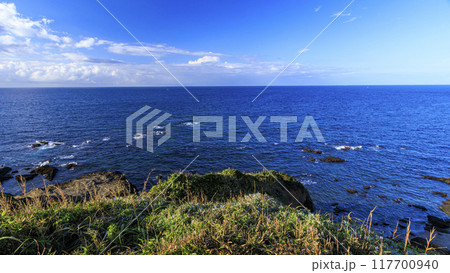 三浦半島の三浦市城ヶ島の夏 117700940