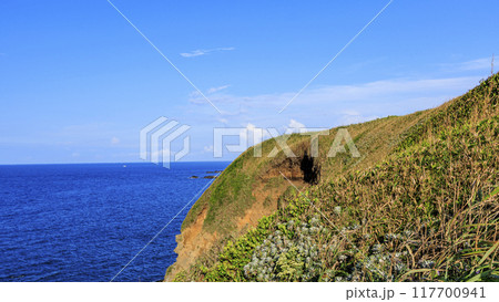 三浦半島の三浦市城ヶ島の夏 117700941