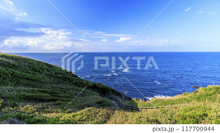 三浦半島の三浦市城ヶ島の夏 117700944