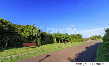 三浦半島の三浦市城ヶ島の夏 117700946