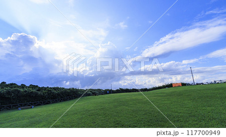 三浦半島の三浦市城ヶ島の夏 117700949