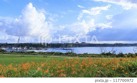 三浦半島の三浦市城ヶ島の夏 117700972