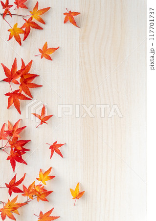 天然の紅葉したモミジの葉の木目フレーム 117701737