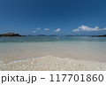 沖縄の砂浜　ヒジュイシビーチ 浜辺　渡嘉敷島 117701860
