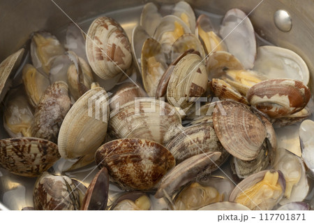 あさりご飯 あさりを酒蒸する あさりご飯 あさりを酒蒸する 117701871