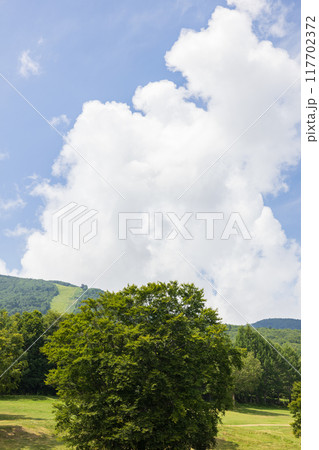 真夏の奥志賀高原の風景 真夏の奥志賀高原の風景 117702372
