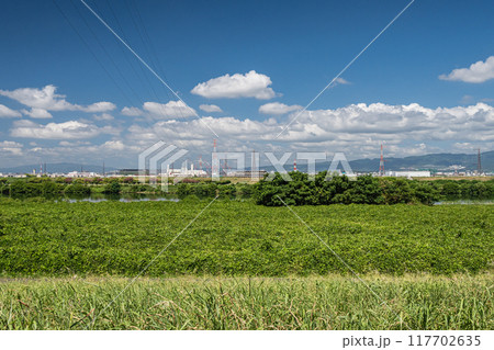 淀川夏景色 淀川河川公園出口地区からの眺め 淀川夏景色 淀川河川公園出口地区からの眺め 117702635