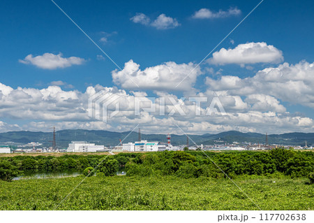 淀川夏景色　淀川河川公園出口地区からの眺め 117702638