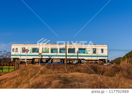 静岡県掛川市本郷　天竜浜名湖鉄道と沿線の風景 117702989