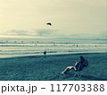 ビーチで富士山を望む人たち 117703388
