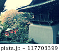 江の島神社からの紅葉 117703399