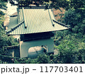 江の島神社からの紅葉 117703401