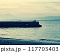 江の島からの富士山を望む 117703403
