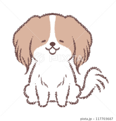 笑顔のコ―イケルホンディエ 117703687