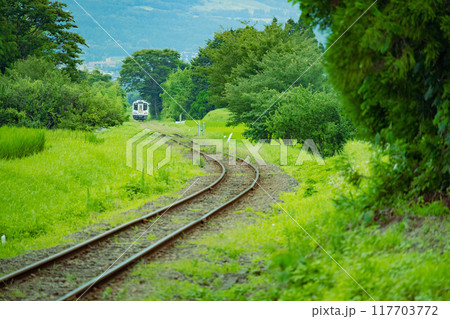 新緑の中を走る南阿蘇線 117703772